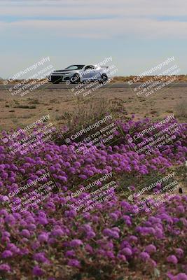 media/Jan-08-2023-SCCA SD (Sun) [[8f6a5b9391]]/Advanced Group/Session 2 (Short Straight)/
